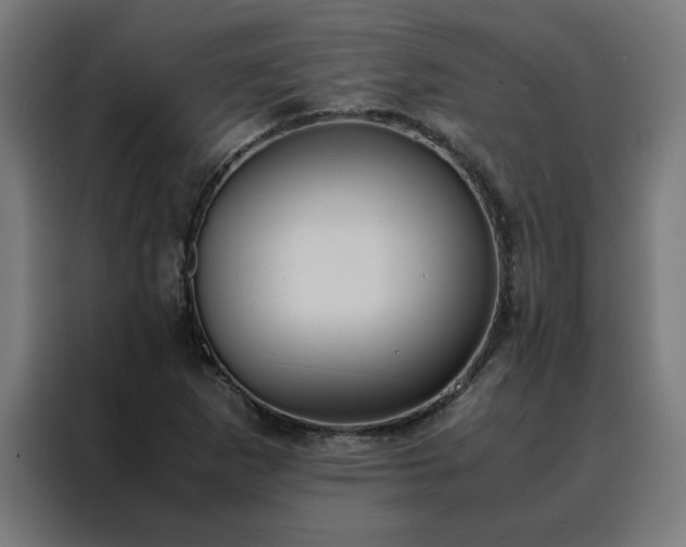 X0000088231265200705221817