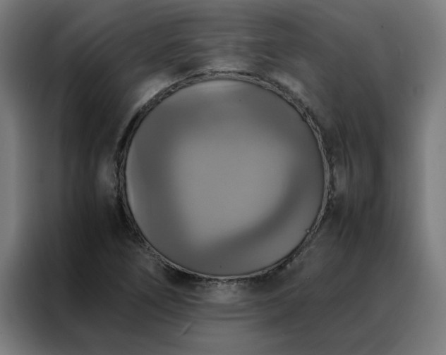X0000088231266200705221817