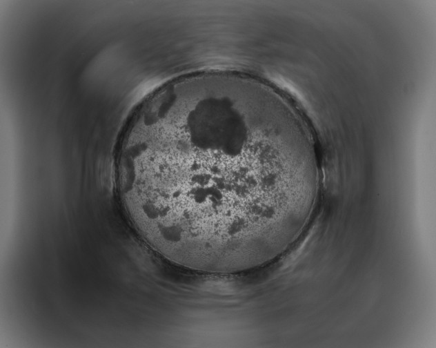 X0000088231267200705221817