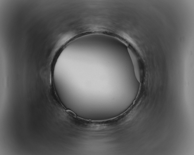X0000088231269200705221817