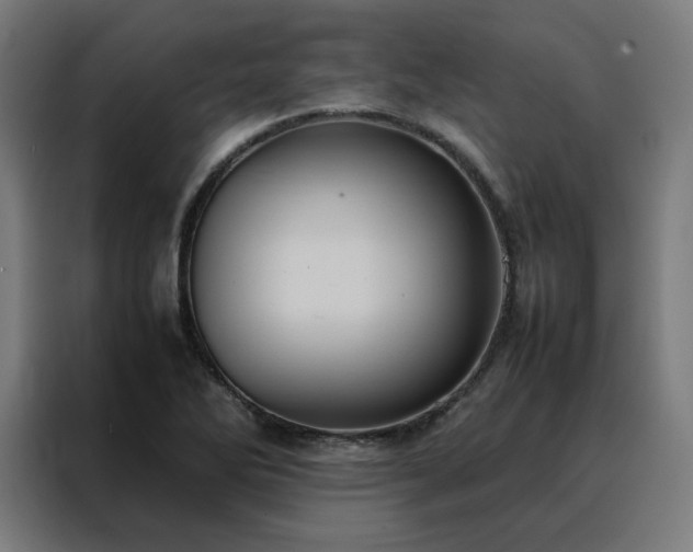 X0000088231270200705221817