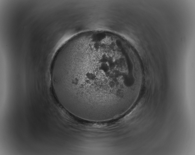 X0000088231271200705221817