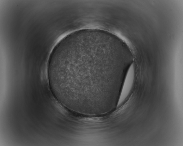 X0000088231272200705221817