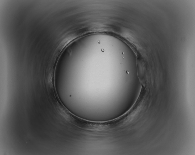 X0000088231273200705221817