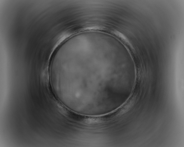 X0000088231274200705221817