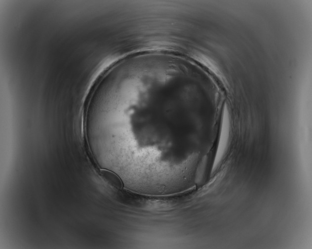 X0000088231275200705221817