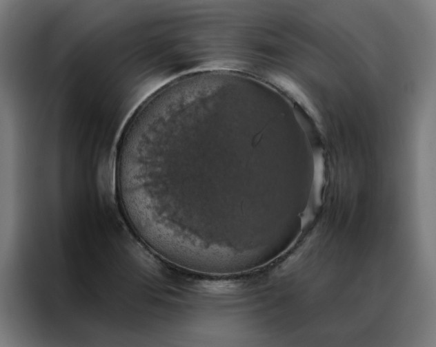 X0000088231276200705221817