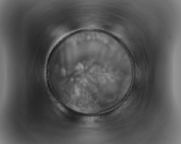X0000088231278200705221817