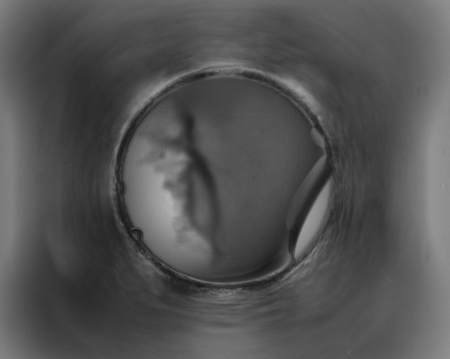 X0000088231279200705221817