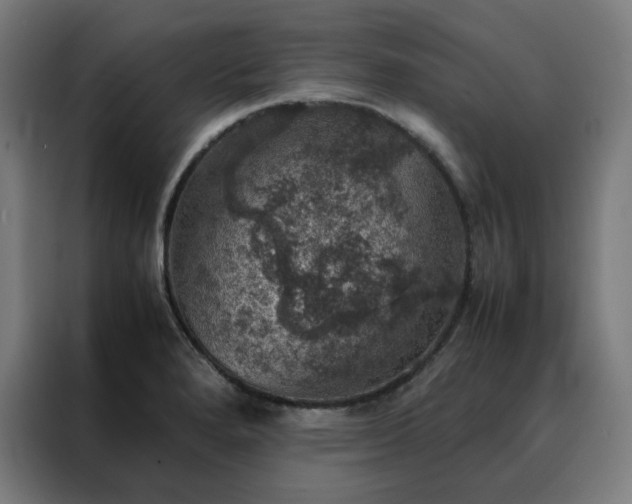X0000088231280200705221817