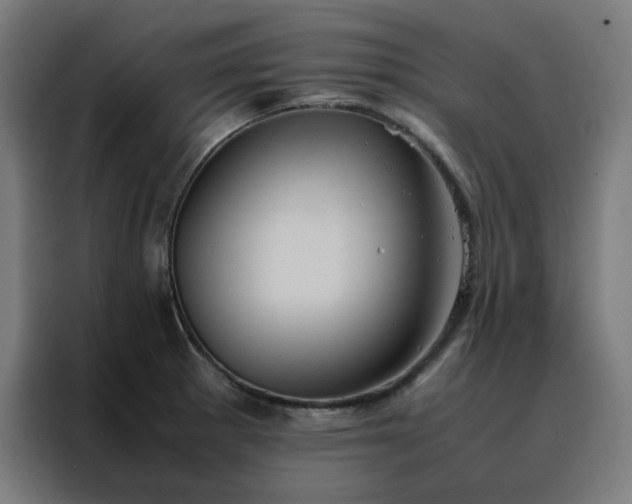 X0000088231281200705221817
