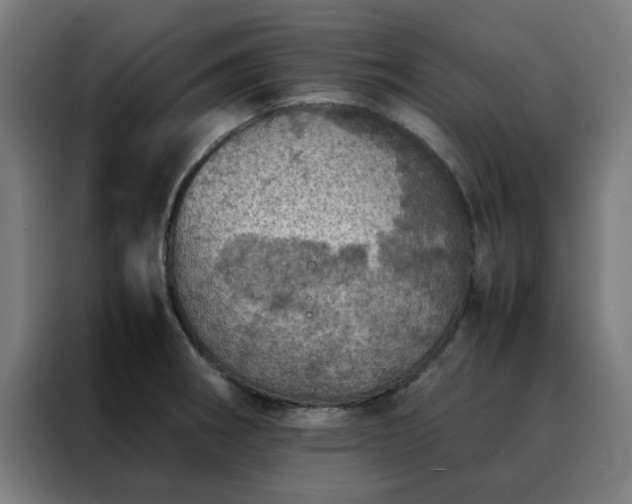 X0000088231282200705221817