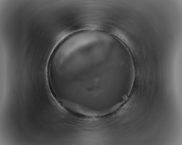 X0000088231283200705221817