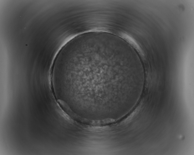 X0000088231284200705221817