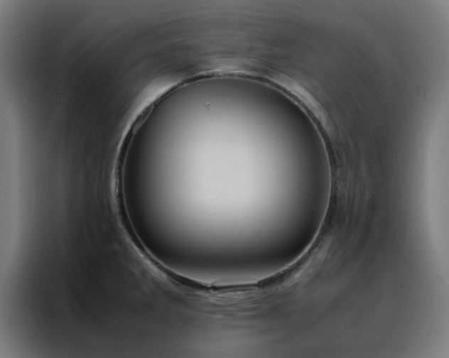 X0000088231285200705221817
