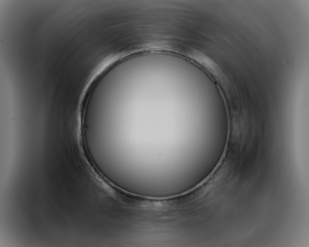 X0000088231286200705221817