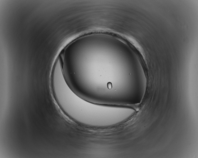 X0000088231287200705221817