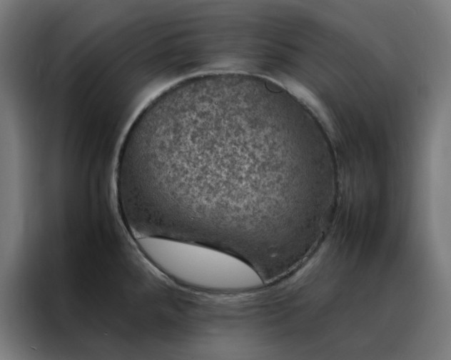 X0000088231288200705221817