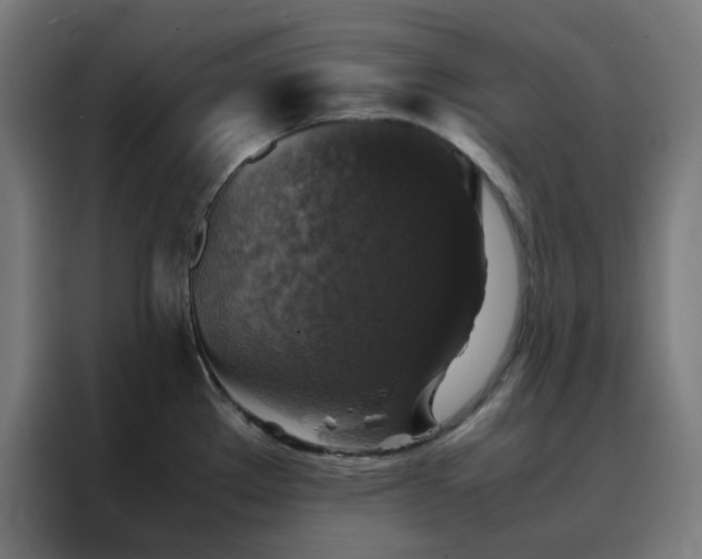 X0000088231289200705221817