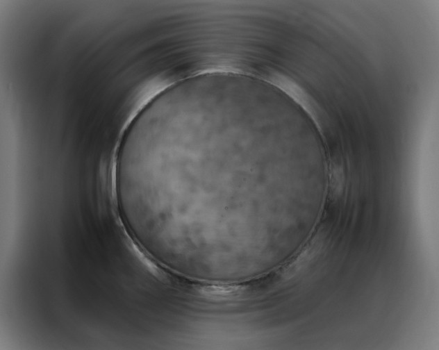 X0000088231290200705221817