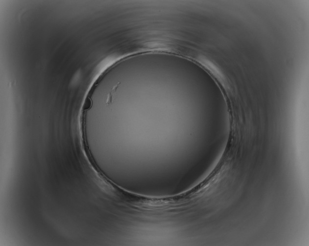 X0000088231291200705221817