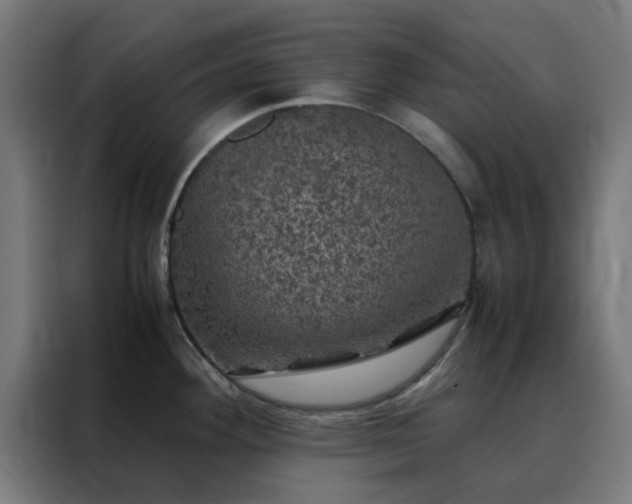 X0000088231292200705221817