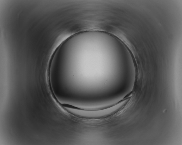 X0000088231293200705221817