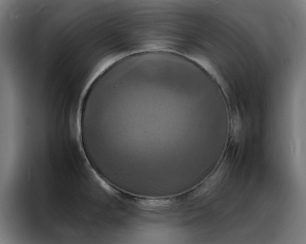 X0000088231294200705221817