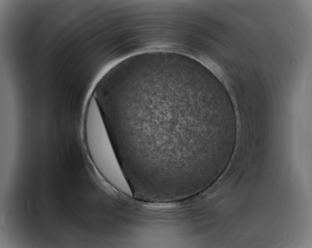 X0000088231296200705221816