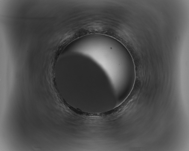 X0000088231297200705221816