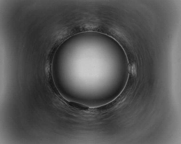 X0000088231299200705221816
