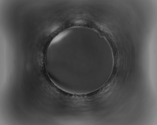 X0000088231301200705221816