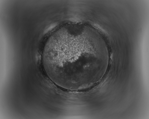 X0000088231302200705221816