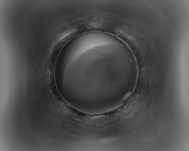 X0000088231303200705221816