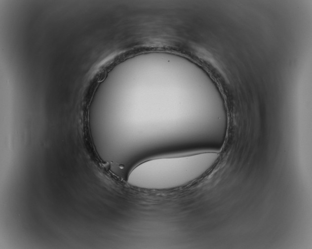 X0000088231304200705221816