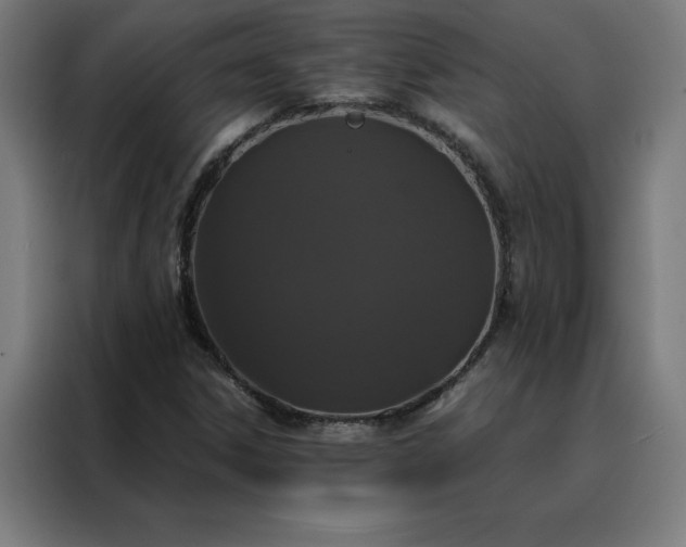 X0000088231306200705221816
