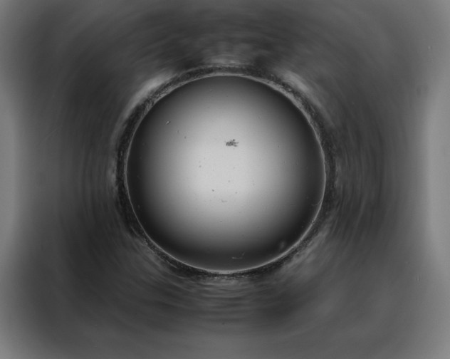 X0000088231307200705221816