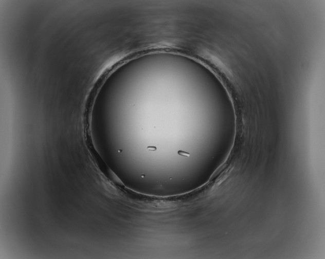X0000088231308200705221816
