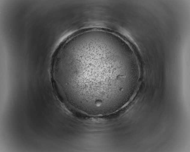 X0000088231312200705221816