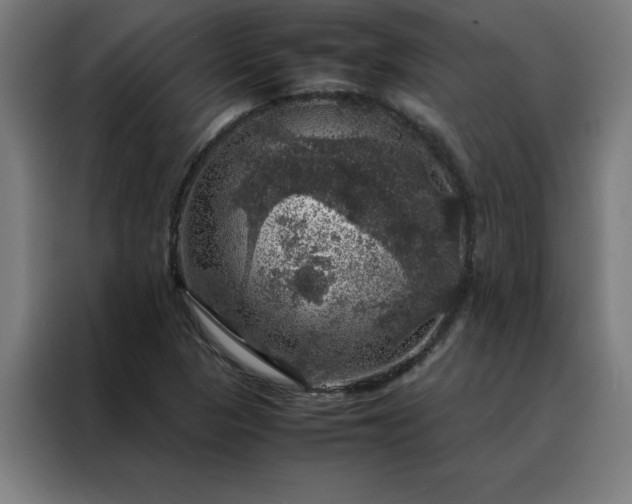 X0000088231313200705221816