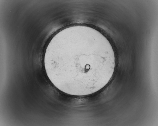 X0000088231314200705221816