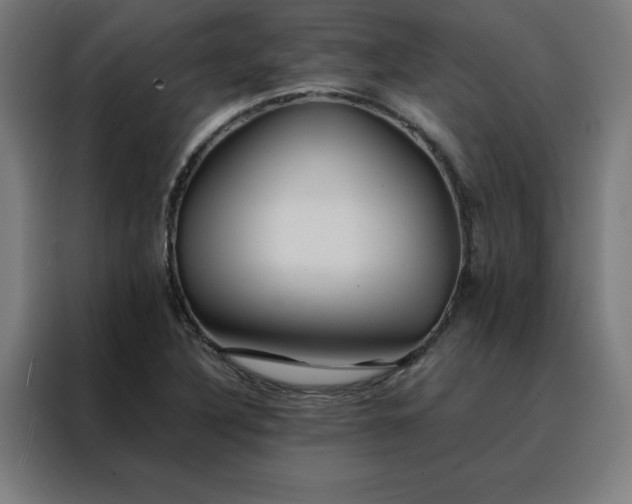 X0000088231316200705221816