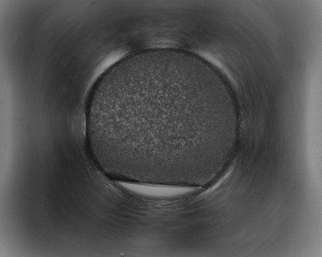 X0000088231317200705221816
