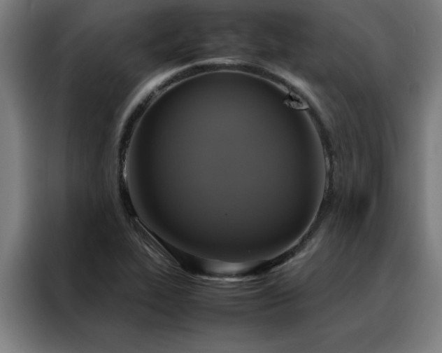 X0000088231319200705221816