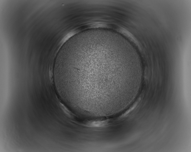 X0000088231321200705221816