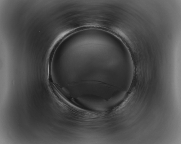 X0000088231323200705221816