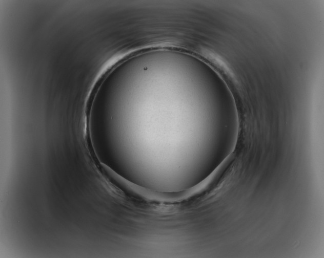 X0000088231324200705221816