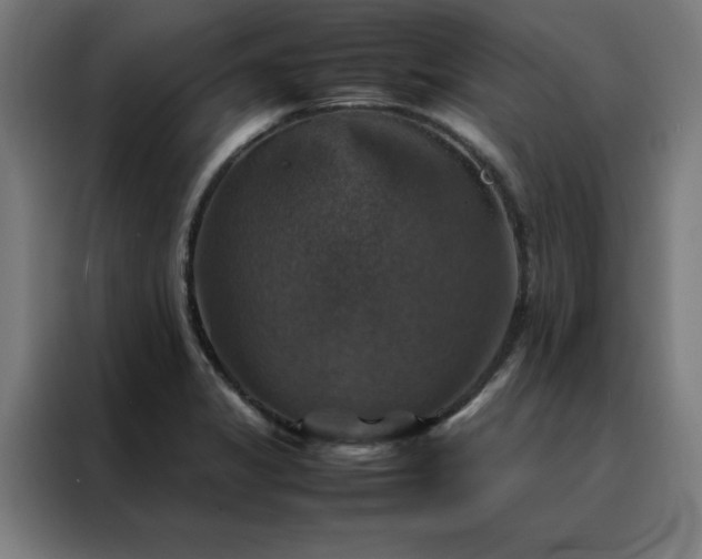X0000088231325200705221816