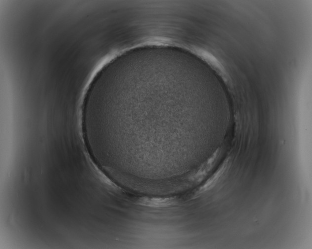 X0000088231326200705221816
