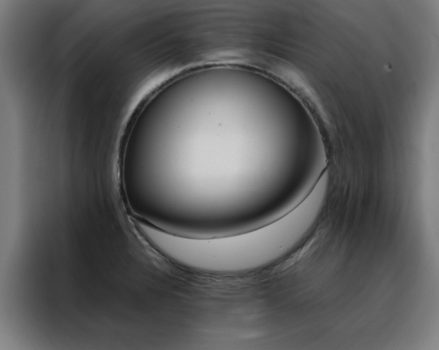 X0000088231328200705221816